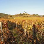 Iglesia Parroquial de A Ermida