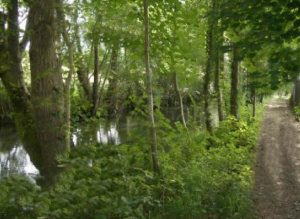 Ruta del Paseo fluvial