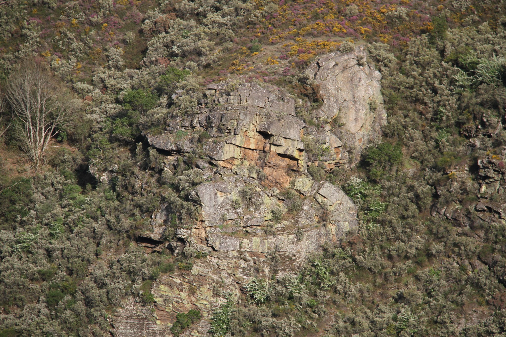 Vista do val dende o Miradoiro de Penas Rubias situado en Pacios da Serra