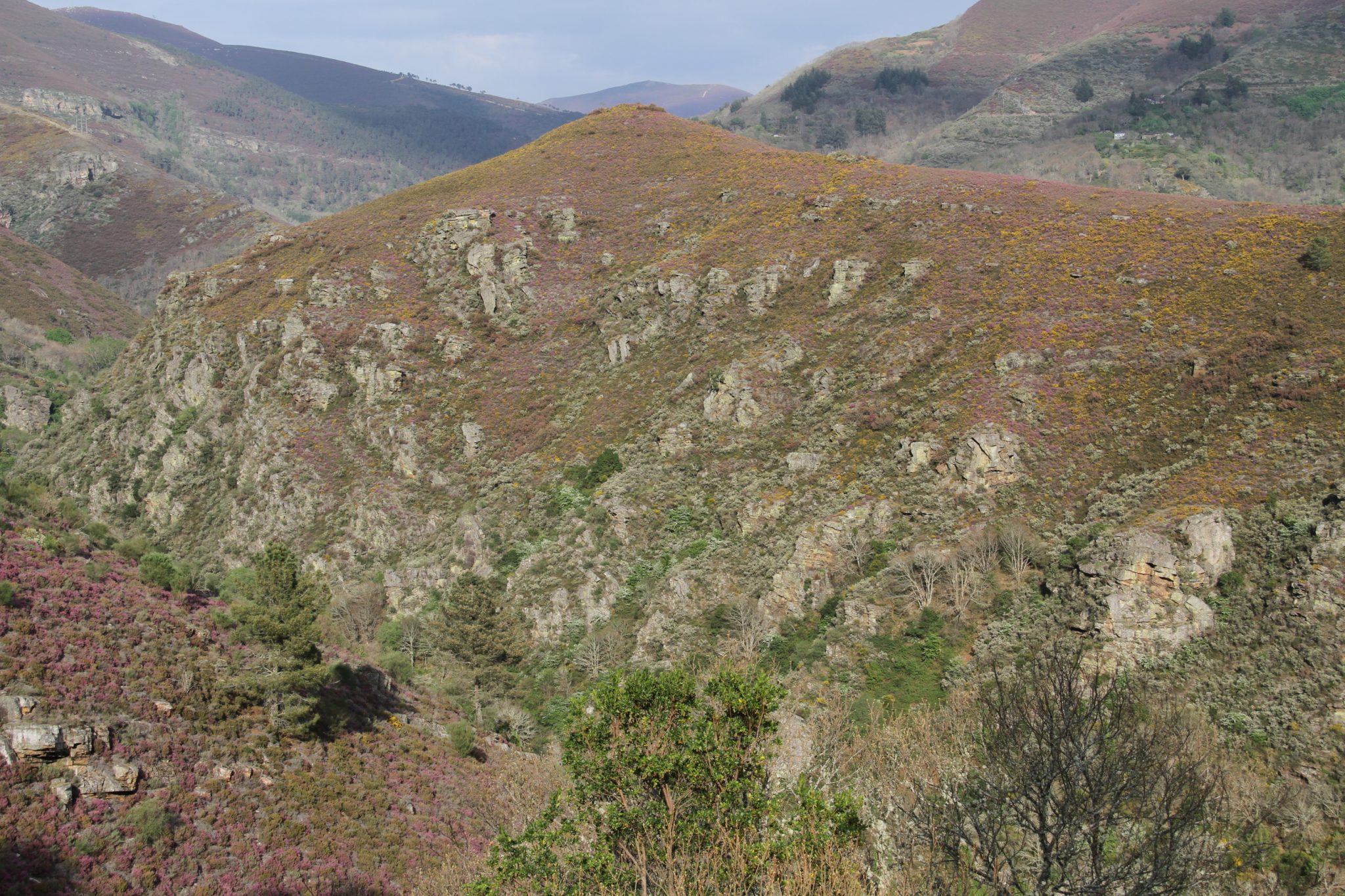 Vista do val dende o Miradoiro de Penas Rubias situado en Pacios da Serra