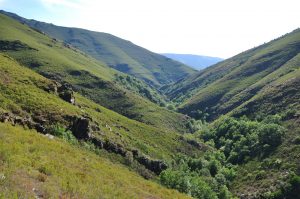 PR-G-191 Ruta de A Seara a Rugando