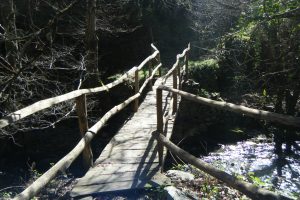 PR-G-187 Camino do Ferradal