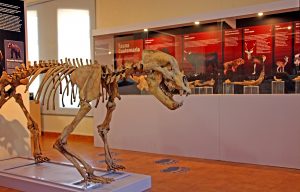 Museo xeolóxico municipal do Concello de Quiroga