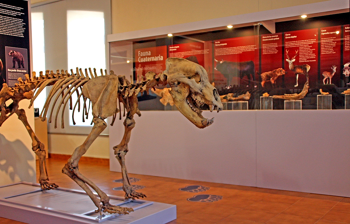 Museo xeolóxico municipal do Concello de Quiroga