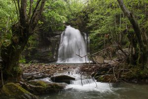 Fervenza de A Pedriña