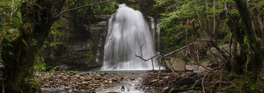 Fervenza de A Pedriña