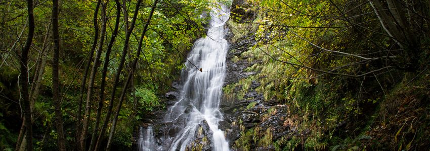 Fervenza de O Fócaro
